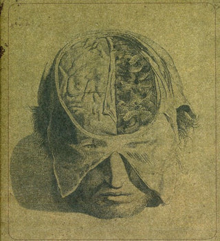 the album cover for Farsot - Insects