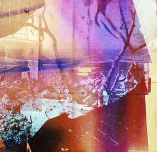 the album cover for Preston Lovinggood - Duncan/No Baby