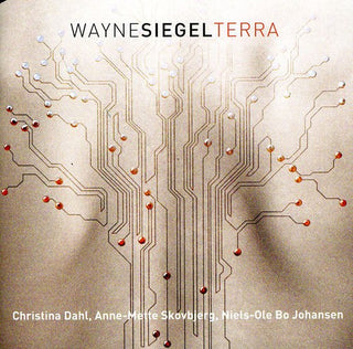 the album cover for Wayne Siegel - Terra