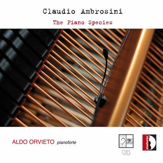 the album cover for Aldo Orvieto - Piano Species