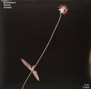 Prinzhorn Dance School- Clay Class [Digital Download Coupon]