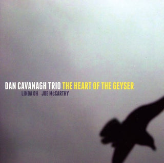 the album cover for Dan Cavanagh - Heart of the Geyser