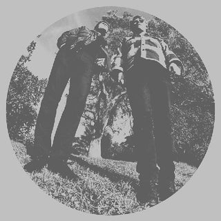 the album cover for Ty Segall - Hair [LP]