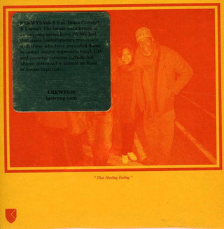 the album cover for Blues Control - Frkwys: Blues Control & Laraaji 8