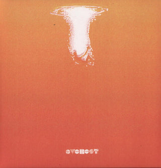 the album cover for Everest - Ownerless