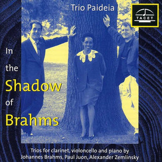 the album cover for Brahms / Zemlinsky / Juon / Trio Paideia - Im Schatten Von Brahms 1
