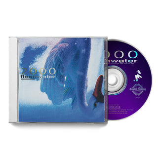 Fleshwater- 2000: In Search of the Endless Sky