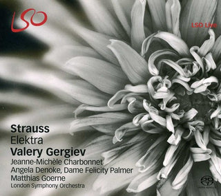 the album cover for Valery Gergiev - Elektra