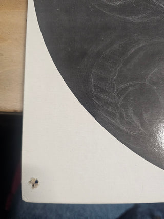 AR Kane- 69 (Hole Punch)