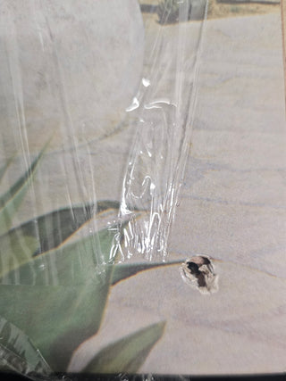 Jimmy Messina (Loggins & Messina)- Oasis (Hole Punch)