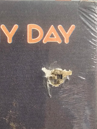 Robert Thomas Velline (Bobby Vee)- Nothin' Like A Sunny Day (Hole Punch)(Sealed)