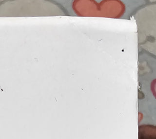 Julien Baker- Little Oblivions (Corner Dings)