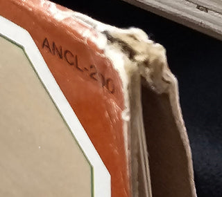 Ace- Five-A-Side (Sleeve Wear)