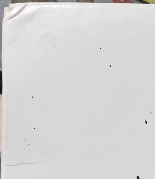 Fat Day- My Name Is I Hate You (Corner Dings)