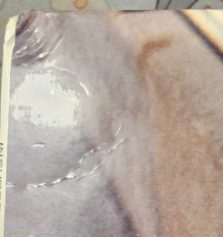 Insubordinates- Insubordinates (Corner Crease) (Used Vinyl)