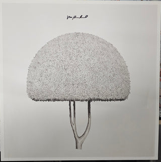 Mitch Rowland- Come June (Slate Vinyl w/ Signed Print) (Used Vinyl)