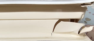 Balto (Damaged Clamshell)