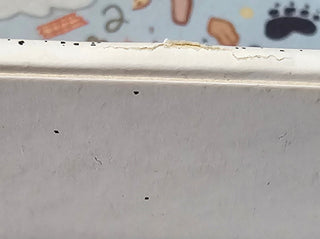 Useless ID- Most Useless Songs (Top Seam Split) (Used Vinyl)