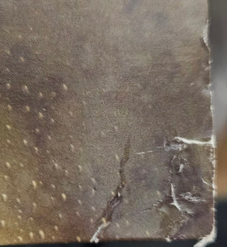 Paramore- This Is Why (Gold Vinyl, Sleeve Damage) (Used Vinyl)
