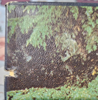 Cat Stevens- Back To Earth (Saw Cut)(Used Vinyl)