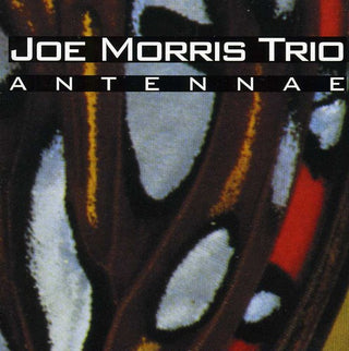the album cover for Joe Morris Trio - Antennae