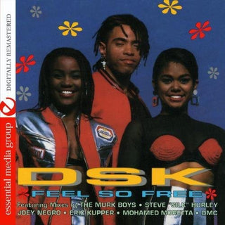 the album cover for DSK - Feel So Free