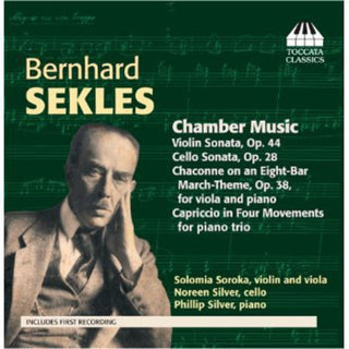 the album cover for Solomia Soroka - Chamber Music