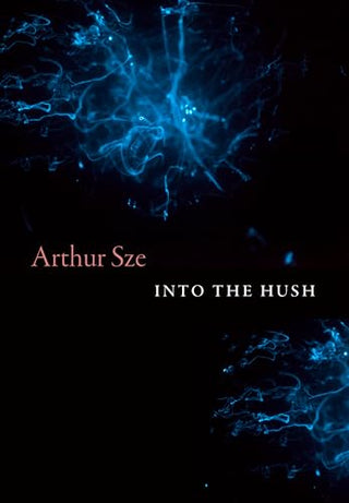 Into the Hush by Arthur Sze