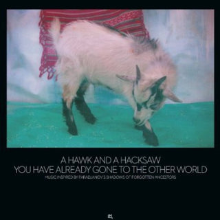 the album cover for Hawk & A Hacksaw - You Have Already Gone to the Other World