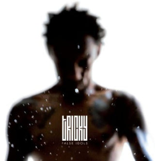the album cover for Tricky - False Idols