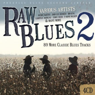 the album cover for Raw Blues - Raw Blues 2