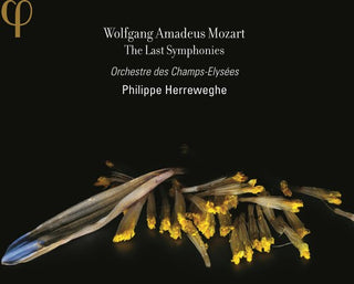 the album cover for PHILIPPE HERREWEGHE - Last Symphonies