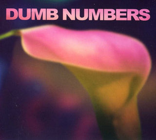 the album cover for Dumb Numbers - Dumb Numbers