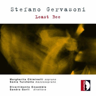 the album cover for Gervasoni / Divertimento Ensemble / Gorli - Least Bee