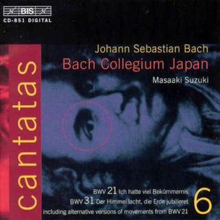 the album cover for Peter Kooij - Cantatas 6