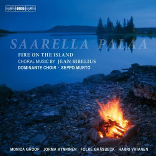 the album cover for Seppo Murto - Fire on the Island