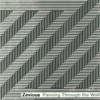 the album cover for Zevious - Passing Through the Wall