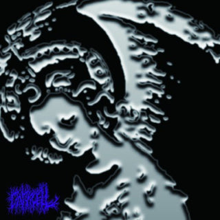 the album cover for Darkcell - Nightmare Document Part 2