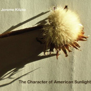 the album cover for Bradley Lubman - Character of American Sunlight