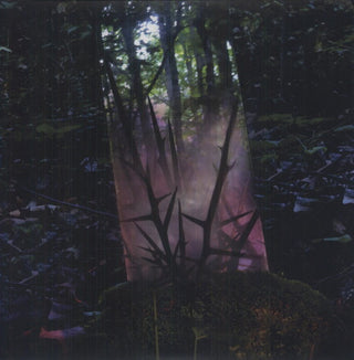 Jensen Sportag- Stealth of Days