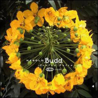 the album cover for Harold Budd - Avalon Sutra