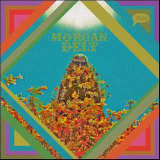 the album cover for Morgan Delt - Morgan Delt