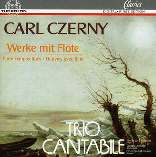 the album cover for Cantabile - Fantasia / Concertante Opus 256