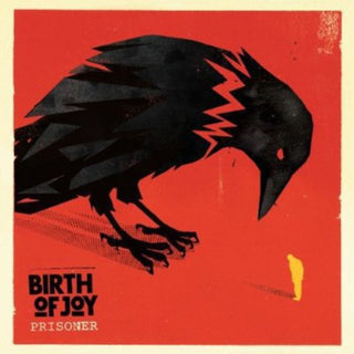 the album cover for Birth Of Joy - Prisoner