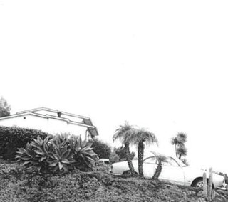 the album cover for Timber Timbre - Hot Dreams