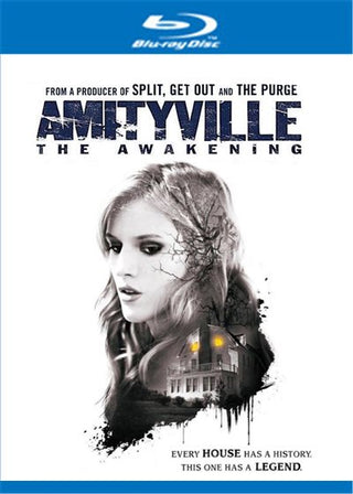 Amityville: The Awakening