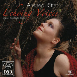 the album cover for Daniel Koschitzki - Echoing Voices
