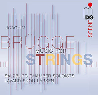 the album cover for Salzburg Chamber Solists Lavard Skou - Music for Strings