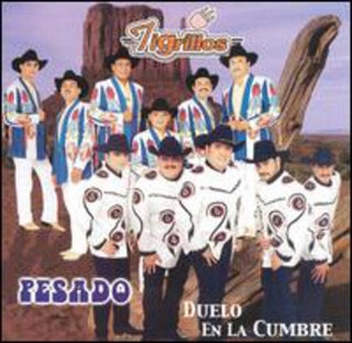 the album cover for Pesado / Tigrillos - Duelo en la Cumbre