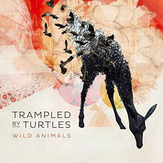 Trampled by Turtles- Wild Animals